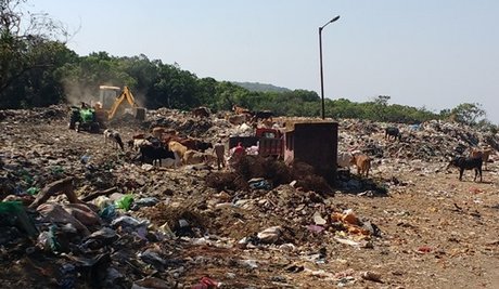 Landfill At Mahabaleshwar